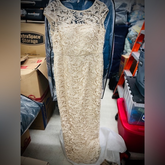 Elegant formal cap sleeve lace column gown by Adrianna Papell. - Picture 2 of 11